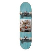 Civilian - Complete - Animalography Series "Squirrel"